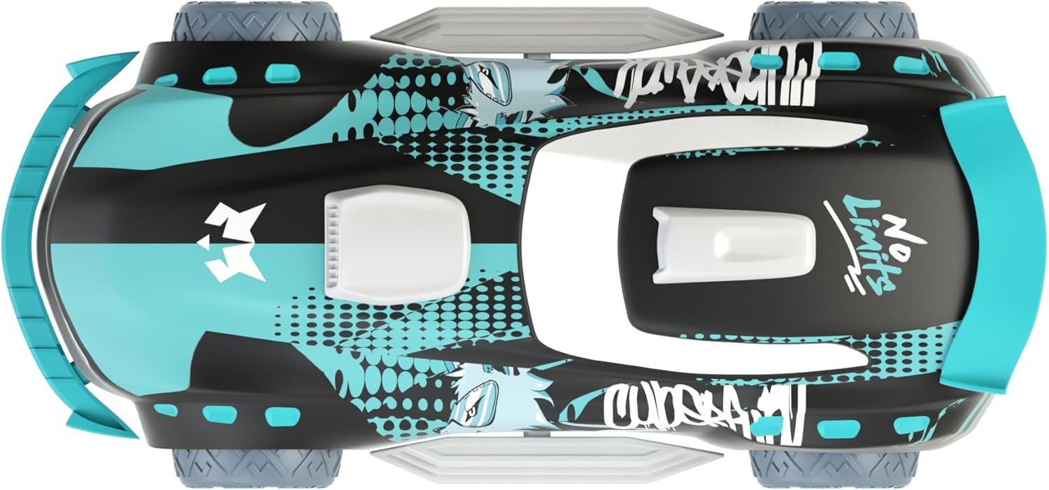 Cyber-Racer