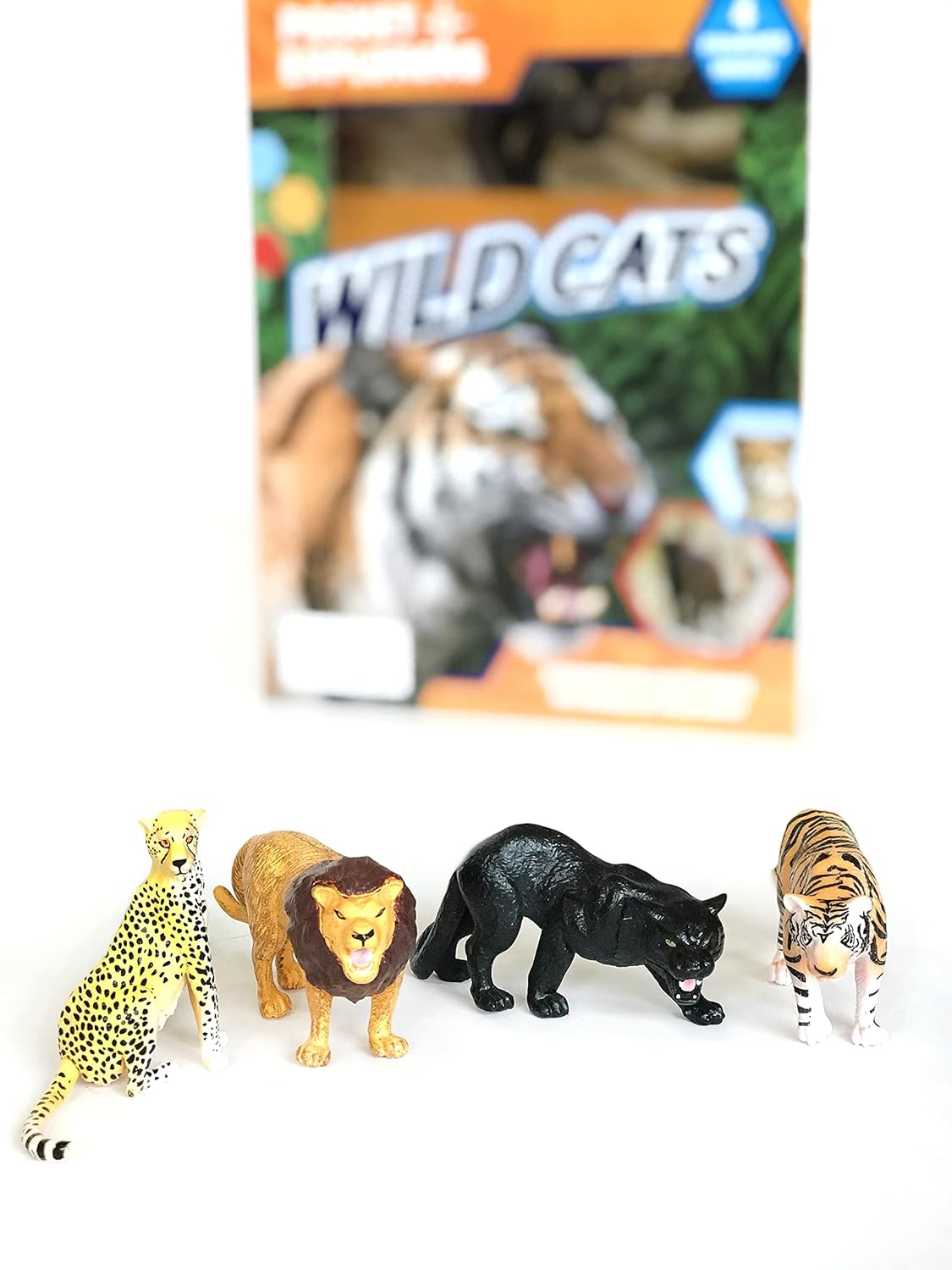 Wildcats Pocket Explorers