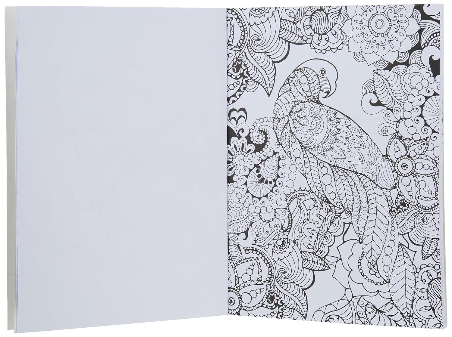 Ultimate Colouring Carry Case: Animals and Patterns