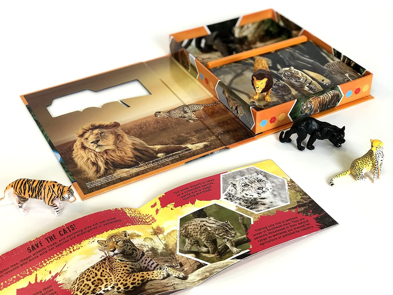 Wildcats Pocket Explorers