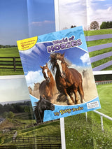 World Of Horses My Busy Books