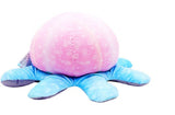 Ola The Octopus