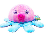 Ola The Octopus